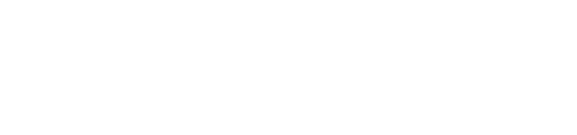 Pocus Logo